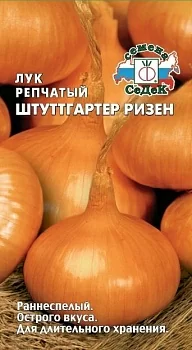 Лук репчатый Штуттгартер Ризен
