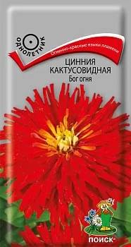 Цинния кактусовидная Бог огня 
