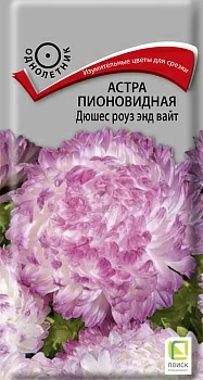 Астра пионовидная Дюшес роуз энд вайт