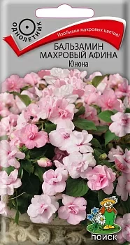 Бальзамин махровый Афина Юнона