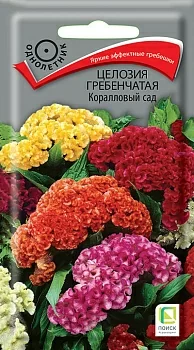 Целозия гребенчатая Коралловый сад (Поиск)