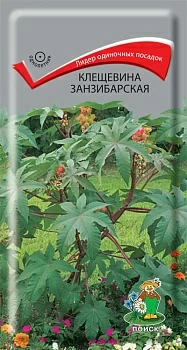 Клещевина (декоративная) занзибарская