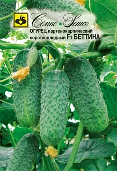 Огурец Беттина F1
