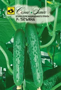 Огурец Татьяна F1