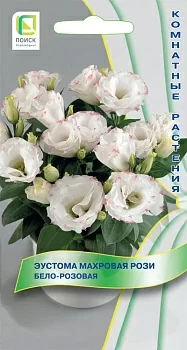 Эустома махровая Рози Бело-розовая 