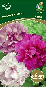 Петуния махровая Блюз 