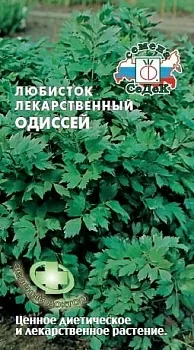 Любисток лекарственный Одиссей