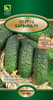 Огурец Барвина F1 