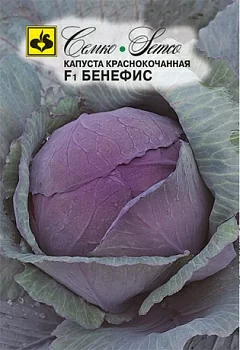 Капуста краснокочанная Бенефис F1 (Семко)