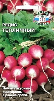 Редис Тепличный