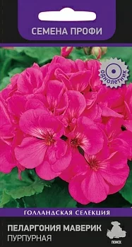 Пеларгония Маверик Пурпурная (Семена Профи) 