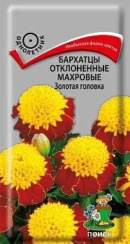 Бархатцы отклоненные махровые (Тагетес отклонённый) Золотая головка 