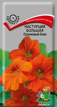 Настурция большая Оранжевый блик