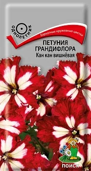 Петуния грандифлора Как кан вишневая 