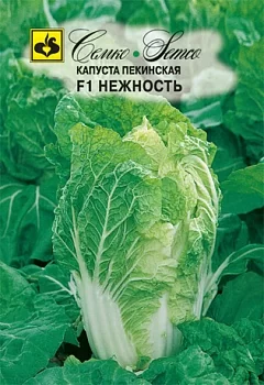 Капуста пекинская Нежность F1 (Семко)