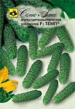 Огурец Темп F1
