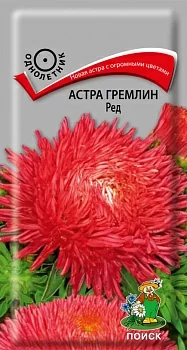 Астра Гремлин Ред