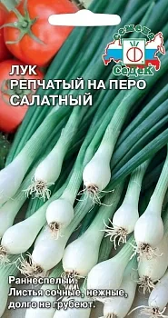 Лук репчатый на перо Салатный