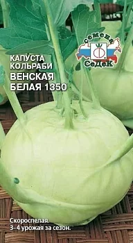 Капуста кольбари Венская белая 1350 (СеДек)