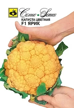 Капуста цветная Ярик F1