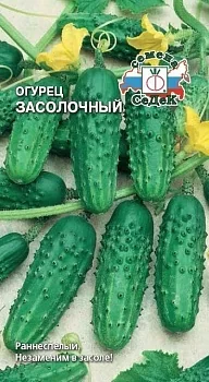 Огурец Засолочный