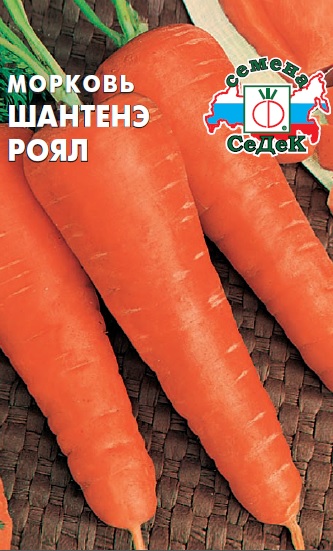 Морковь Шантенэ Роял (СеДек)
