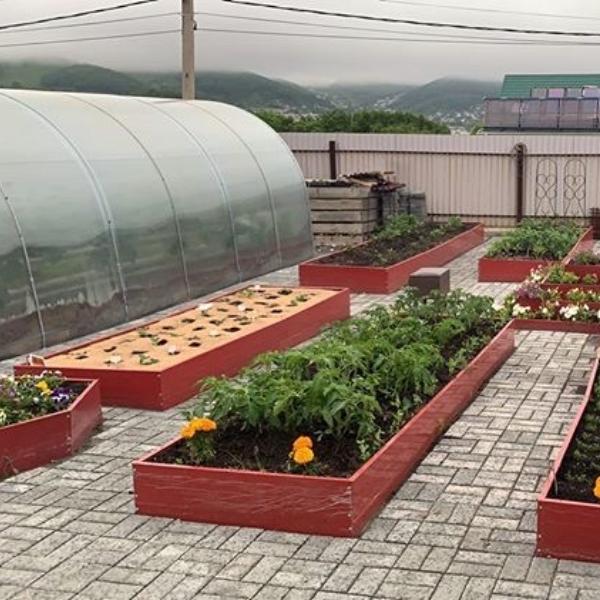Оригинальные грядки. Грядки оцинкованные. Расположение грядок в теплице. Огород для ленивых. Благо оцинкованная грядка.