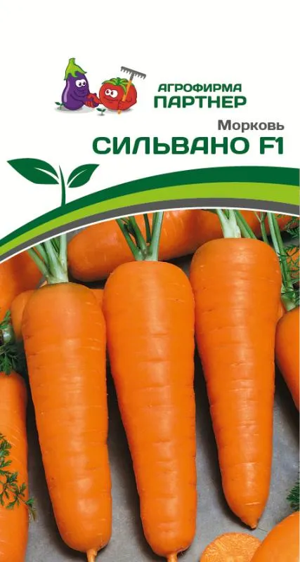 Морковь Сильвано F1