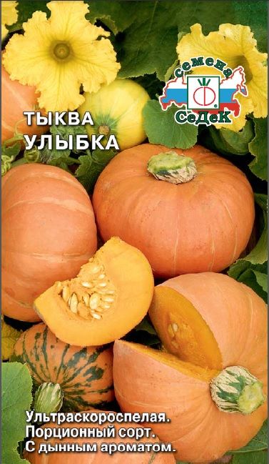 Тыква Улыбка (СеДек)