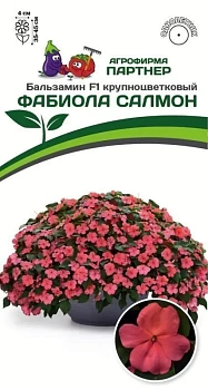 Бальзамин F1 Уоллера крупноцветковый Фабиола Салмон (Партнер)